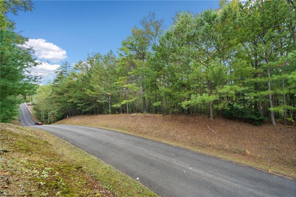 unimproved land for sale at 0 Trout Line Court, Talking Rock, GA 30175 — photo 3
