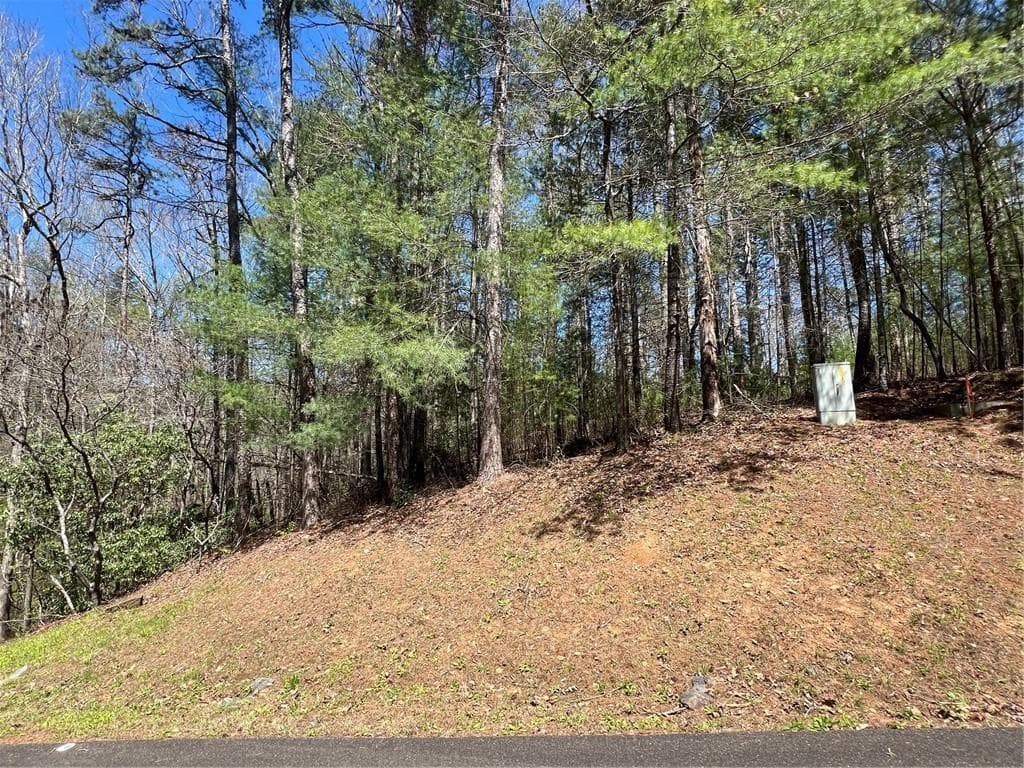 unimproved land for sale at 0 Trout Line Court, Talking Rock, GA 30175 — photo 6