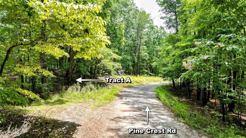 unimproved land for sale at 23.83 Pine Crest Road, Jasper, GA 30143 — photo 2