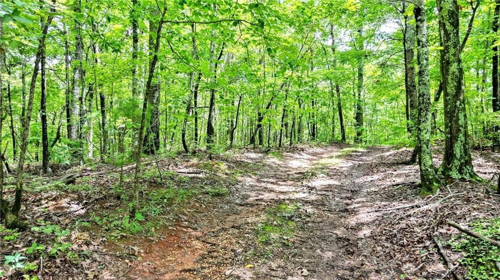 unimproved land for sale at 23.83 Pine Crest Road, Jasper, GA 30143 — photo 3