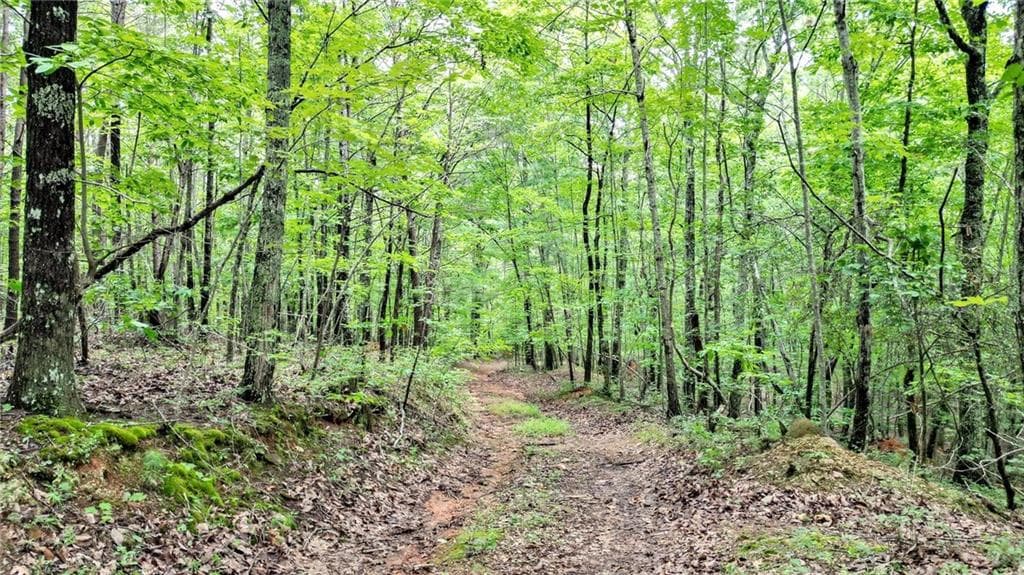 unimproved land for sale at 23.83 Pine Crest Road, Jasper, GA 30143 — photo 4