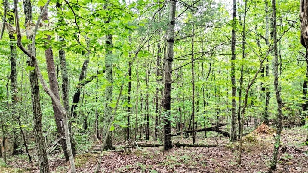 unimproved land for sale at 23.83 Pine Crest Road, Jasper, GA 30143 — photo 5