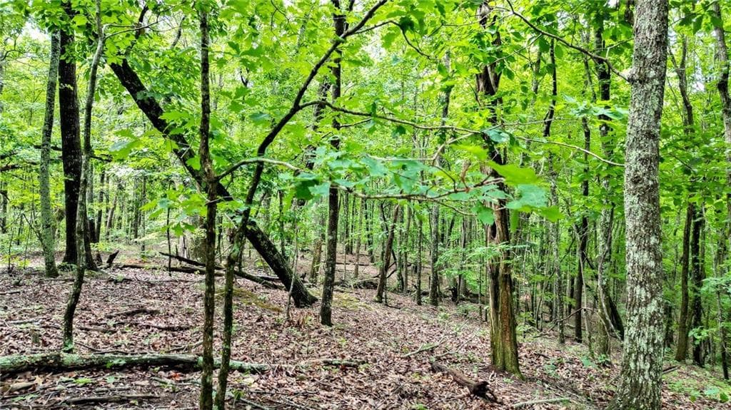 unimproved land for sale at 23.83 Pine Crest Road, Jasper, GA 30143 — photo 7