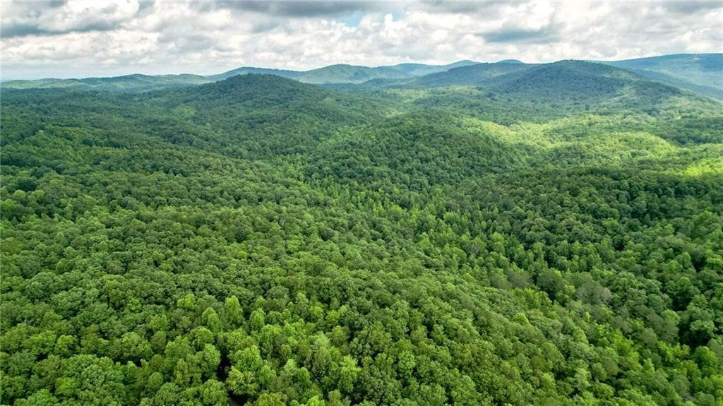 unimproved land for sale at 23.83 Pine Crest Road, Jasper, GA 30143 — photo 8