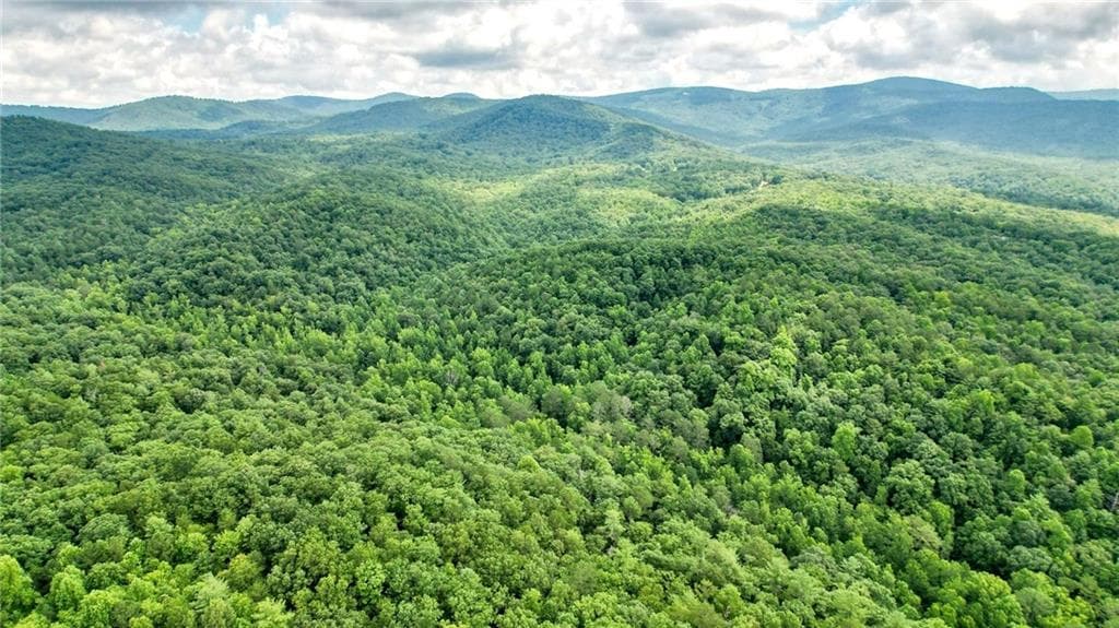 unimproved land for sale at 23.83 Pine Crest Road, Jasper, GA 30143 — photo 9