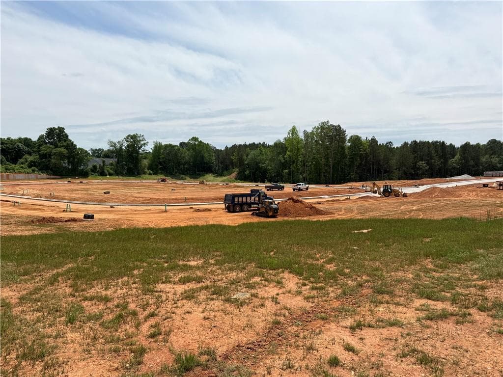 multi family for sale at 0 Skinner Road, Carrollton, GA 30117 — photo 6