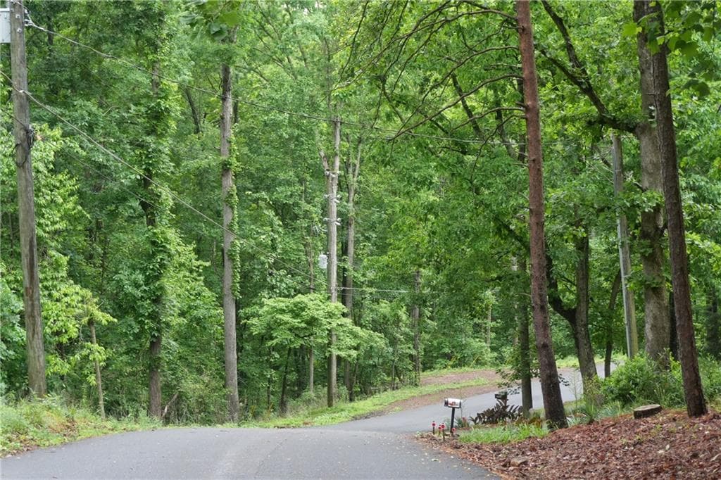 unimproved land for sale at 0 Quail Mountain Trail, Gainesville, GA 30506 — photo 3