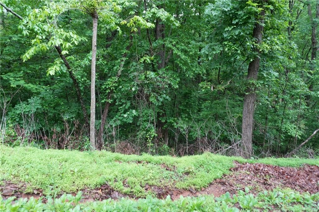 unimproved land for sale at 0 Quail Mountain Trail, Gainesville, GA 30506 — photo 4