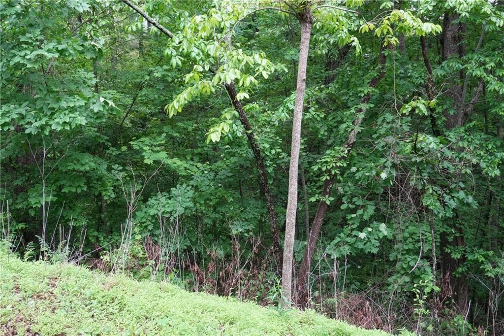 unimproved land for sale at 0 Quail Mountain Trail, Gainesville, GA 30506 — photo 5