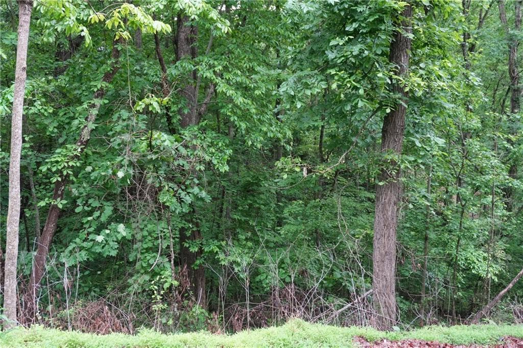 unimproved land for sale at 0 Quail Mountain Trail, Gainesville, GA 30506 — photo 6