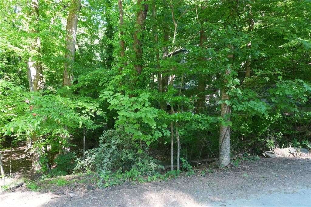 unimproved land for sale at 0 Lakeside Trail, Cumming, GA 30041 — photo 4