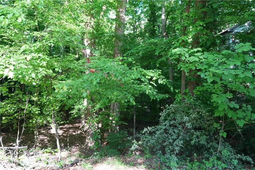 unimproved land for sale at 0 Lakeside Trail, Cumming, GA 30041 — photo 5