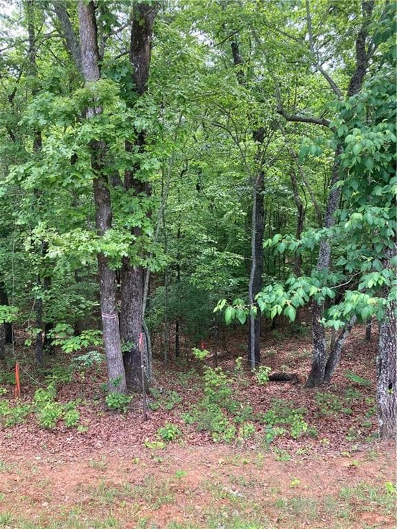 single family residence for sale at 00 Crest View Drive, Dahlonega, GA 30533 — photo 10