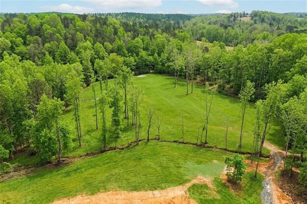 8 bedroom, 7 bathroom, 8,717 sq ft single family residence for sale at 1100 Soap Creek Road, Ball Ground, GA 30107 — photo 9
