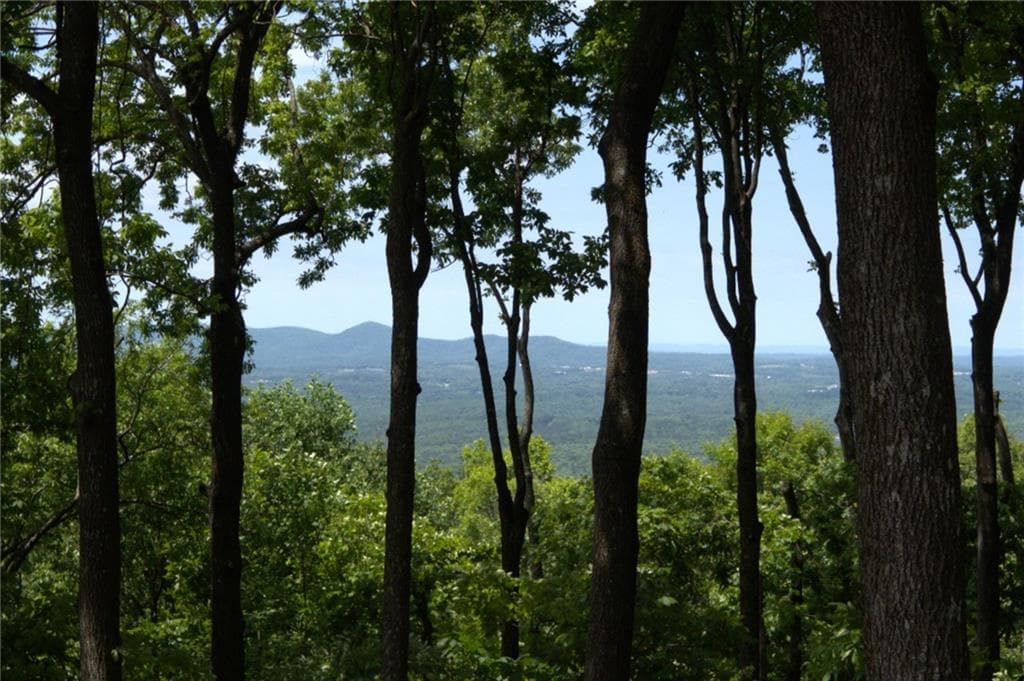 3 bedroom, 3 bathroom, 3,413 sq ft single family residence for sale at 1339 Ridgeview Drive, Big Canoe, GA 30143 — photo 3