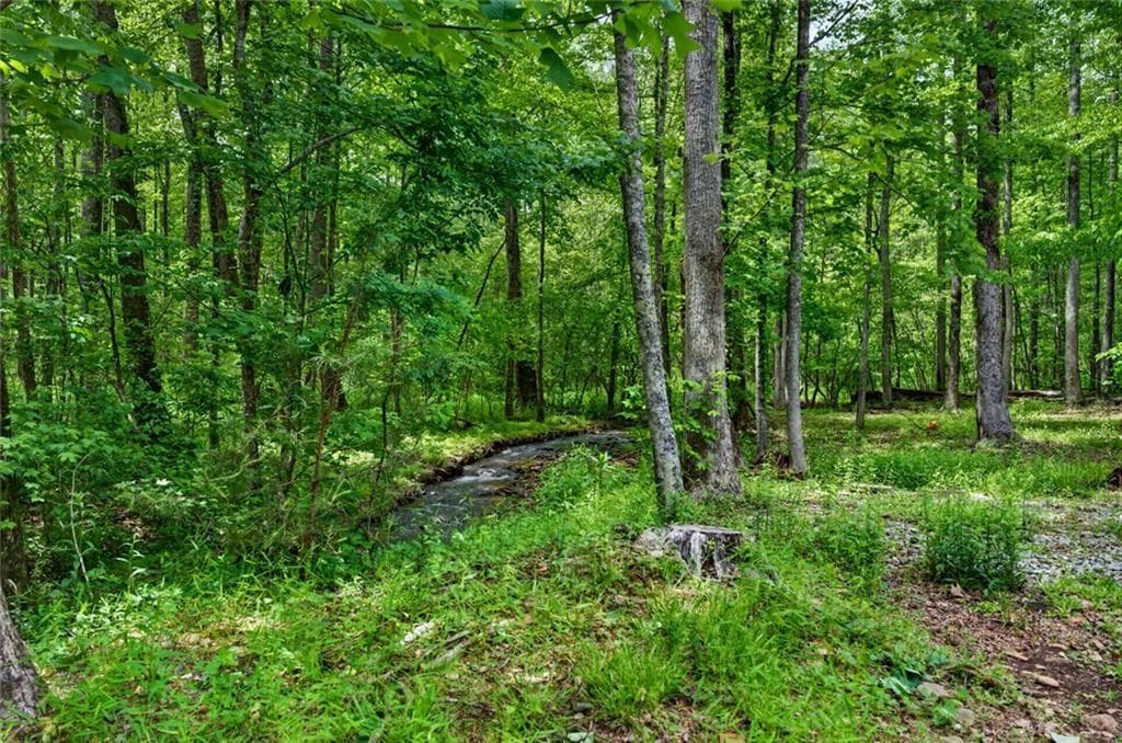 3 bedroom, 3 bathroom, 1,503 sq ft single family residence for sale at 1 Thurmond Walker Road, Dahlonega, GA 30533 — photo 9