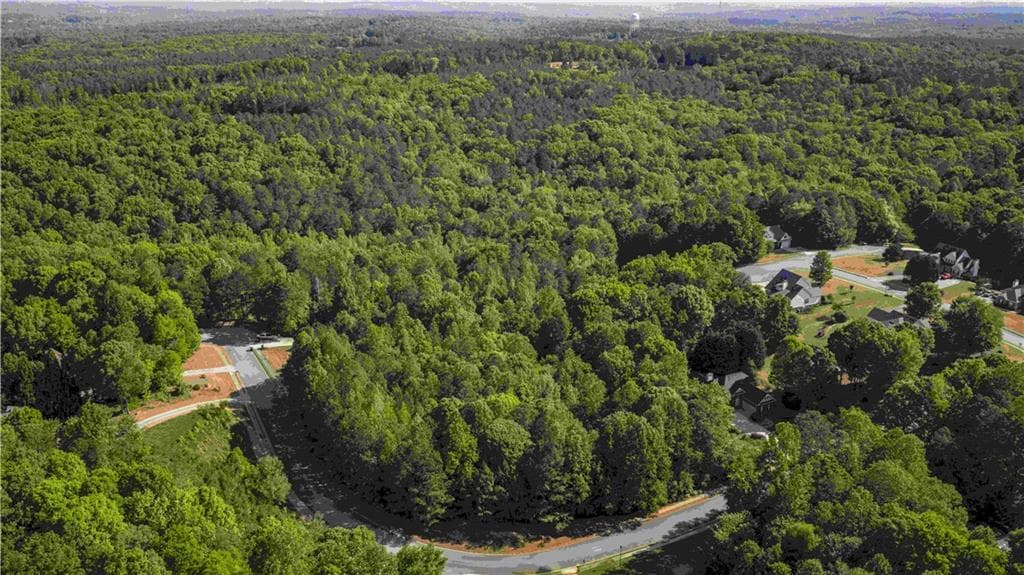 unimproved land for sale at 9550 Grande Drive, Winston, GA 30187 — photo 4