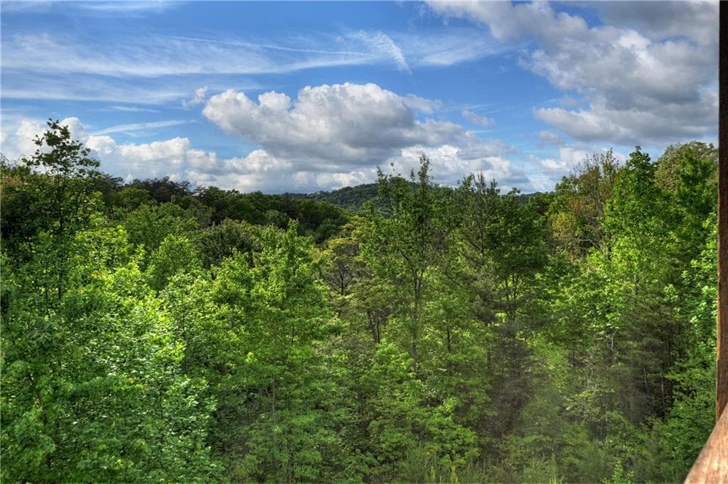 3 bedroom, 4 bathroom, 3,144 sq ft single family residence for sale at 3804 Aska Road, Blue Ridge, GA 30513 — photo 3