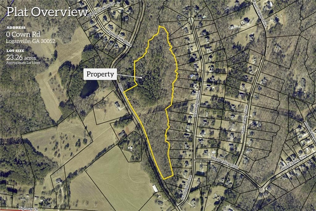 unimproved land for sale at 0 Cown Road, Loganville, GA 30052 — photo 2