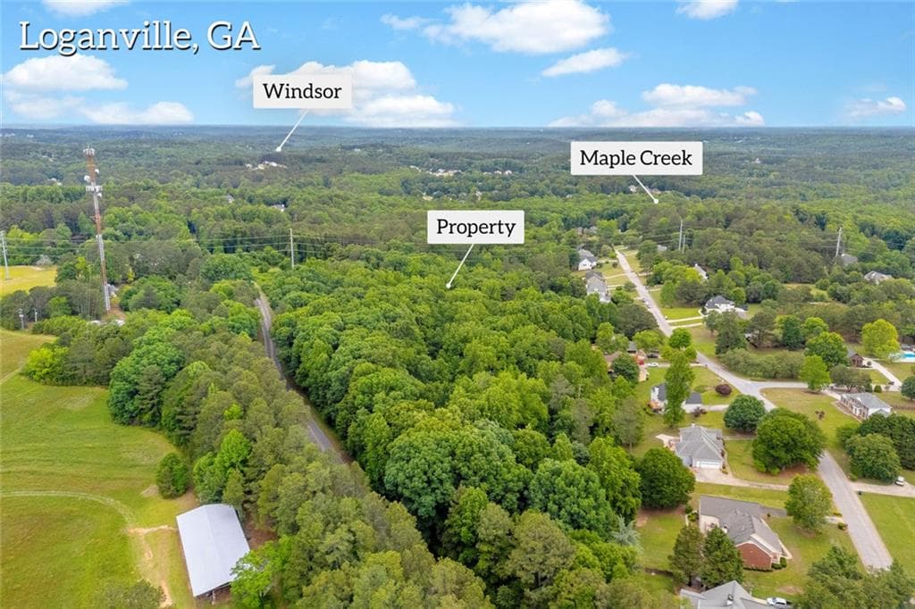 unimproved land for sale at 0 Cown Road, Loganville, GA 30052 — photo 3