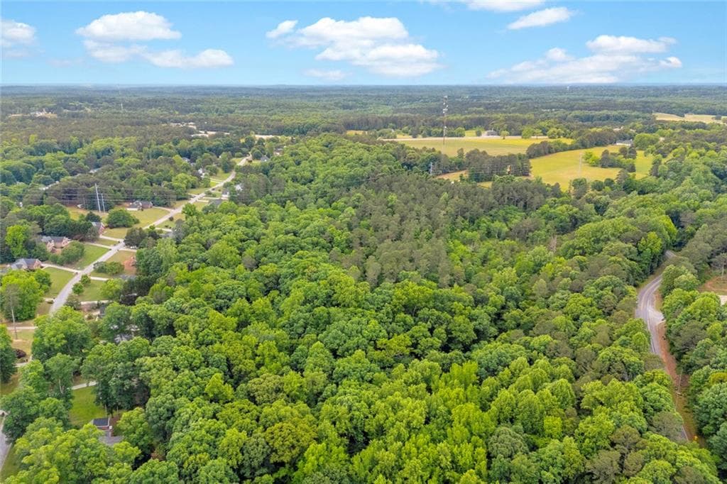 unimproved land for sale at 0 Cown Road, Loganville, GA 30052 — photo 4