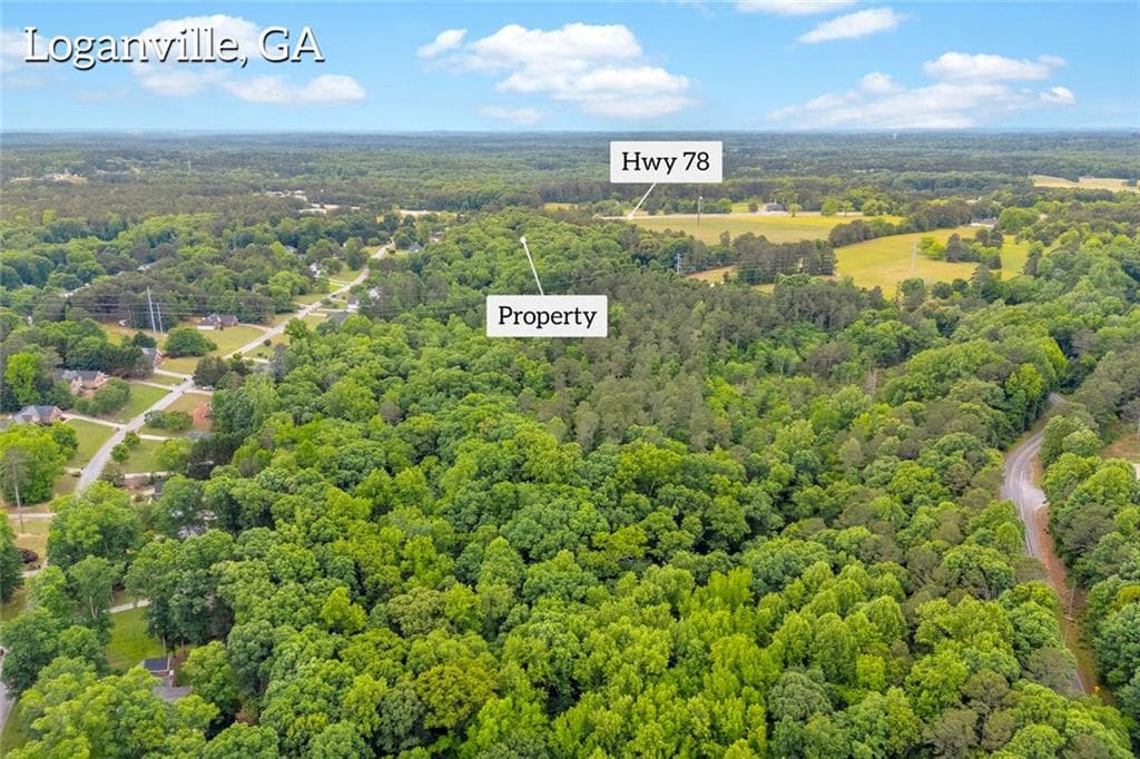 unimproved land for sale at 0 Cown Road, Loganville, GA 30052 — photo 5