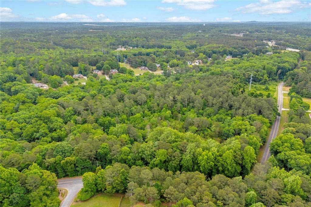 unimproved land for sale at 0 Cown Road, Loganville, GA 30052 — photo 6