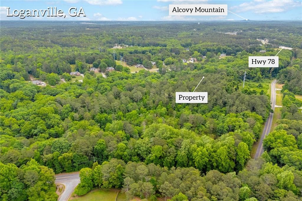 unimproved land for sale at 0 Cown Road, Loganville, GA 30052 — photo 7