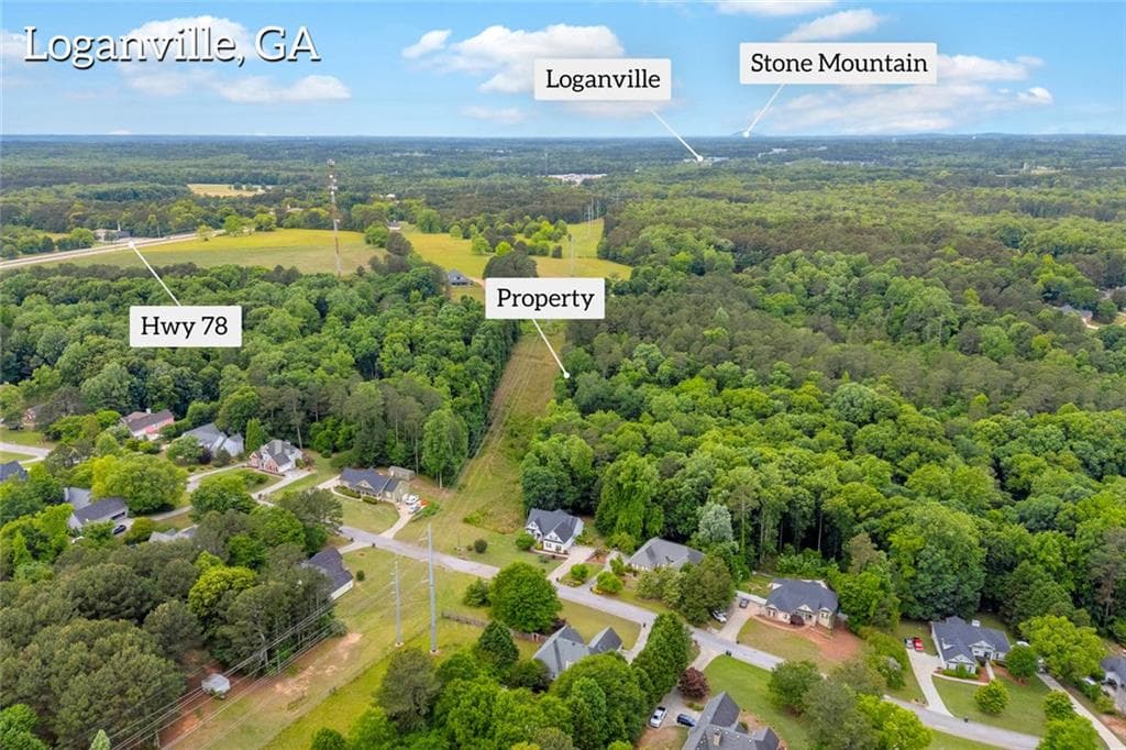 unimproved land for sale at 0 Cown Road, Loganville, GA 30052 — photo 9