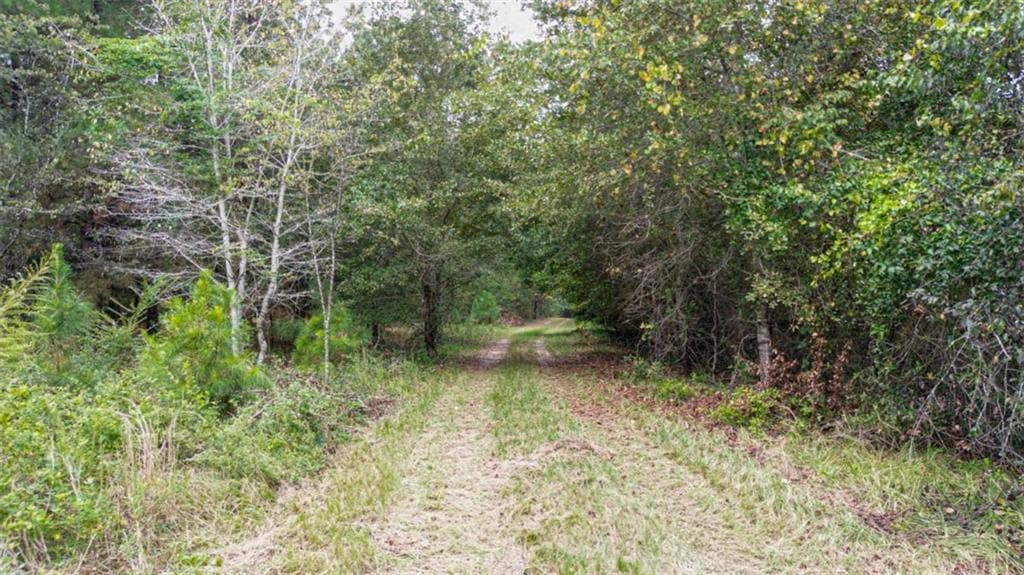 unimproved land for sale at 0 Willow Creek Drive, Oglethorpe, GA 31068 — photo 2