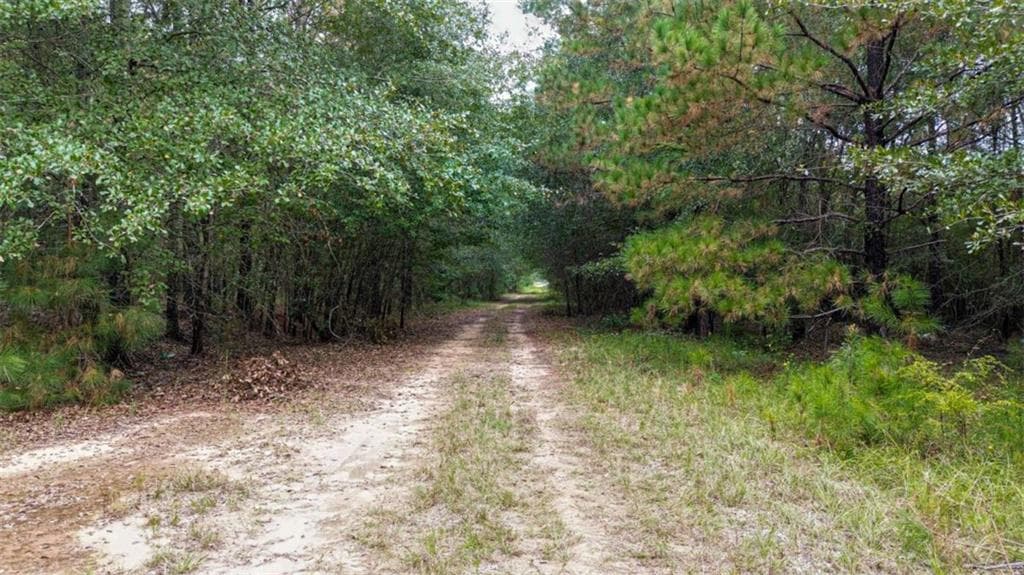 unimproved land for sale at 0 Willow Creek Drive, Oglethorpe, GA 31068 — photo 3