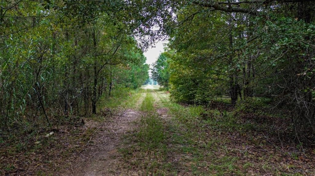 unimproved land for sale at 0 Willow Creek Drive, Oglethorpe, GA 31068 — photo 4