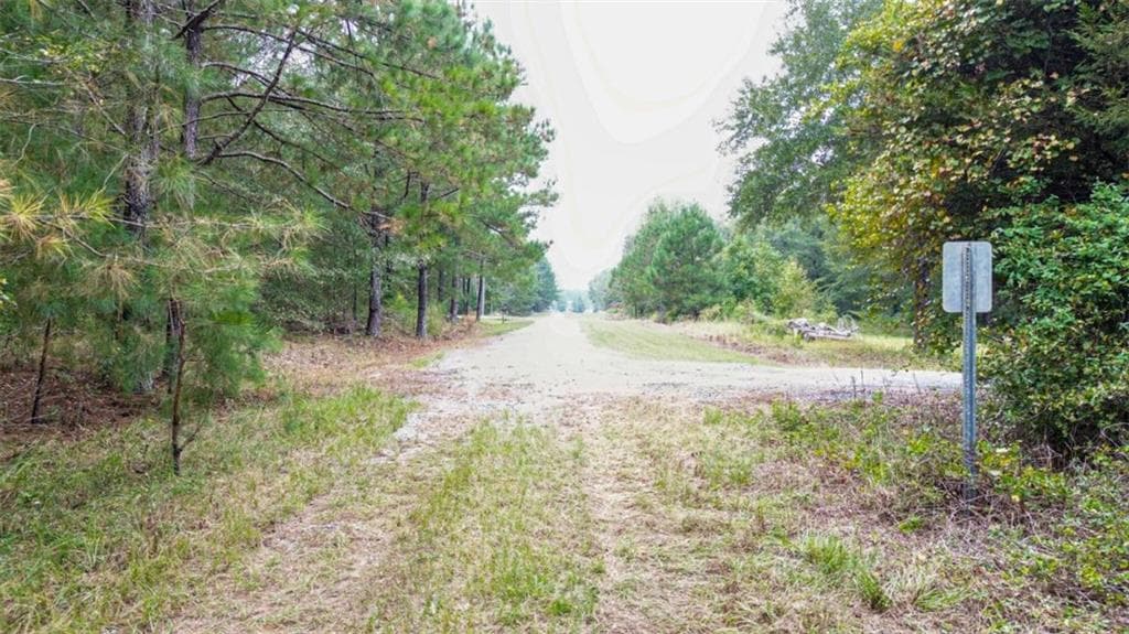 unimproved land for sale at 0 Willow Creek Drive, Oglethorpe, GA 31068 — photo 5