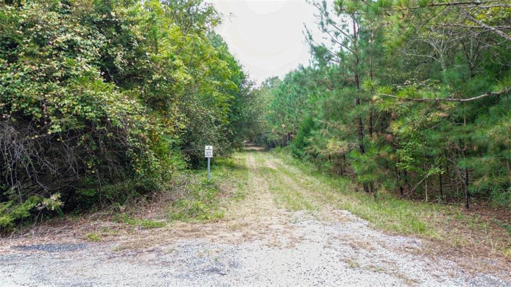 unimproved land for sale at 0 Willow Creek Drive, Oglethorpe, GA 31068 — photo 6