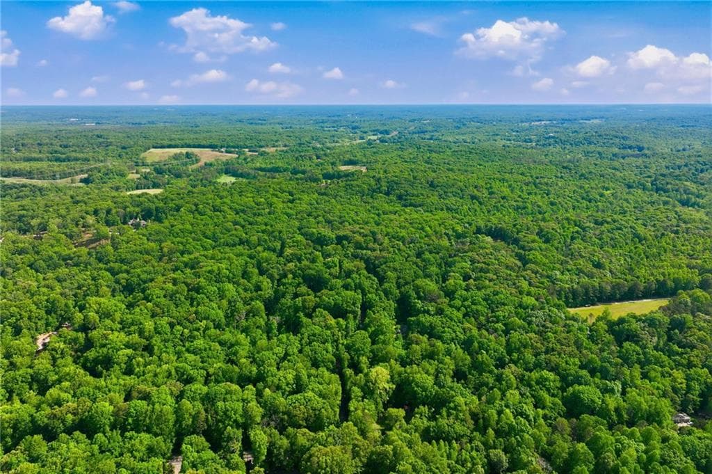4 bedroom, 5 bathroom, 7,821 sq ft single family residence for sale at 4264 Joe Chandler Road, Gillsville, GA 30543 — photo 8