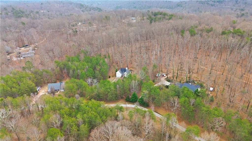 4 bedroom, 4 bathroom, 2,777 sq ft single family residence for sale at 158 Ridge Lane, Lula, GA 30554 — photo 5
