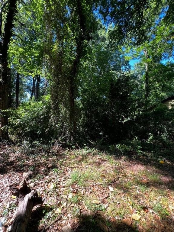 single family residence for sale at 0 Dalton Street, Atlanta, GA 30315 — photo 1 of 4