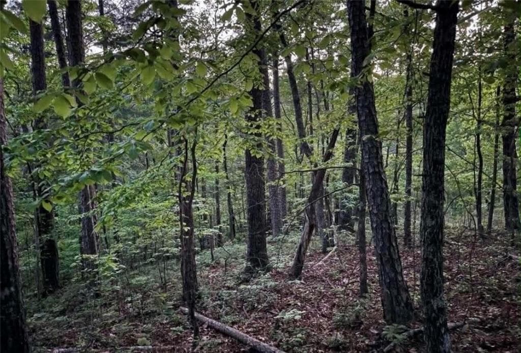 unimproved land for sale at 562 Neptune Circle, Ranger, GA 30734 — photo 2