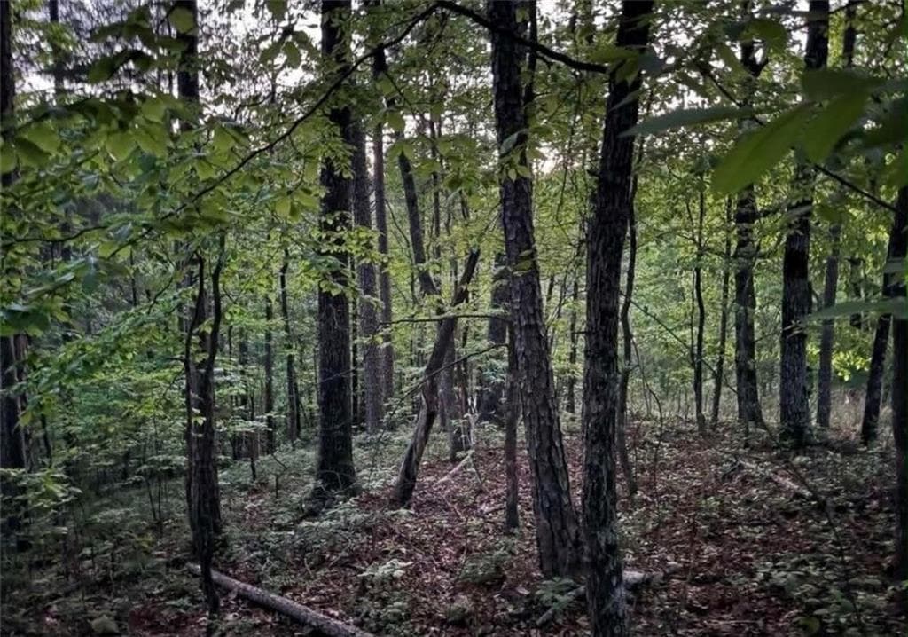 unimproved land for sale at 562 Neptune Circle, Ranger, GA 30734 — photo 3