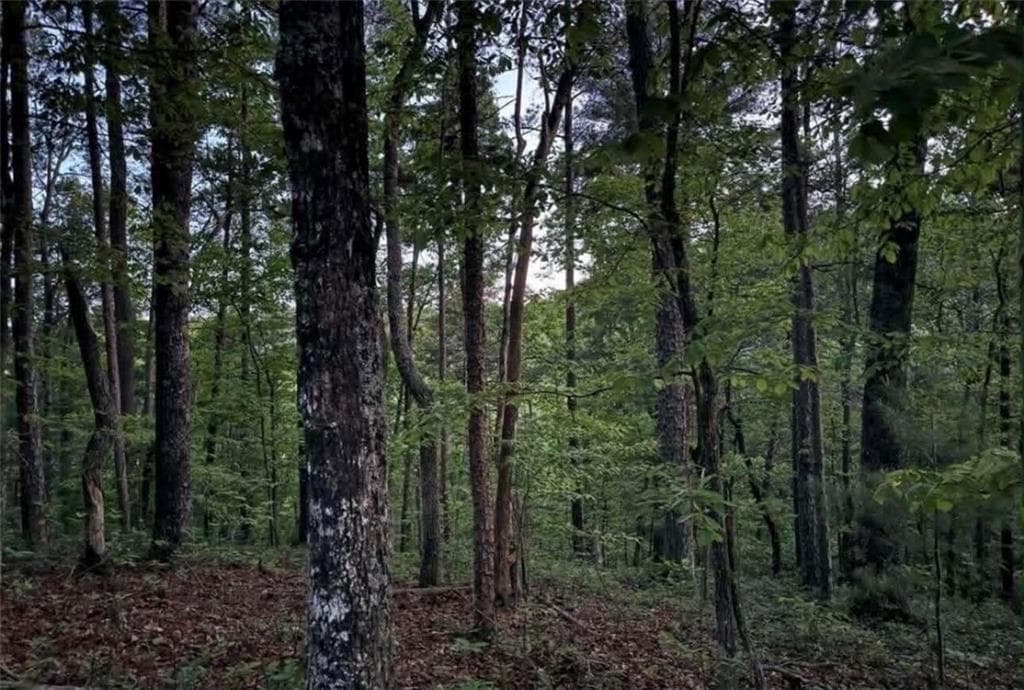 unimproved land for sale at 562 Neptune Circle, Ranger, GA 30734 — photo 4