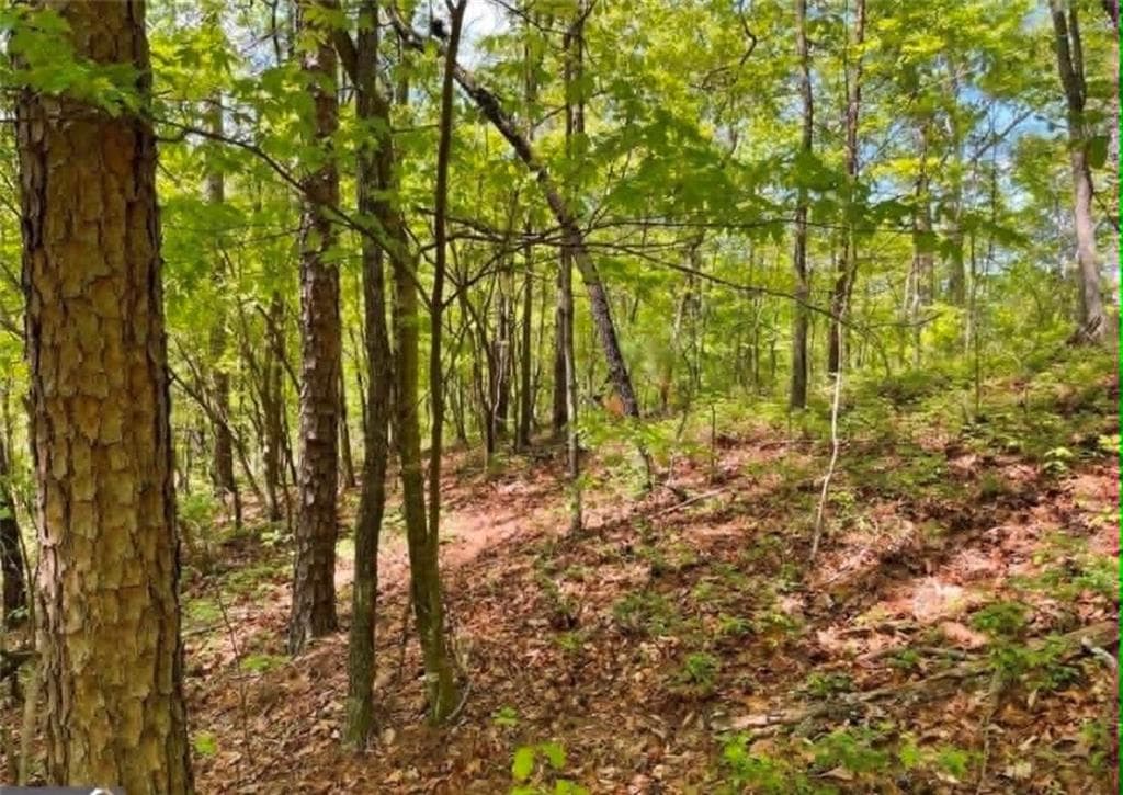unimproved land for sale at 562 Neptune Circle, Ranger, GA 30734 — photo 5