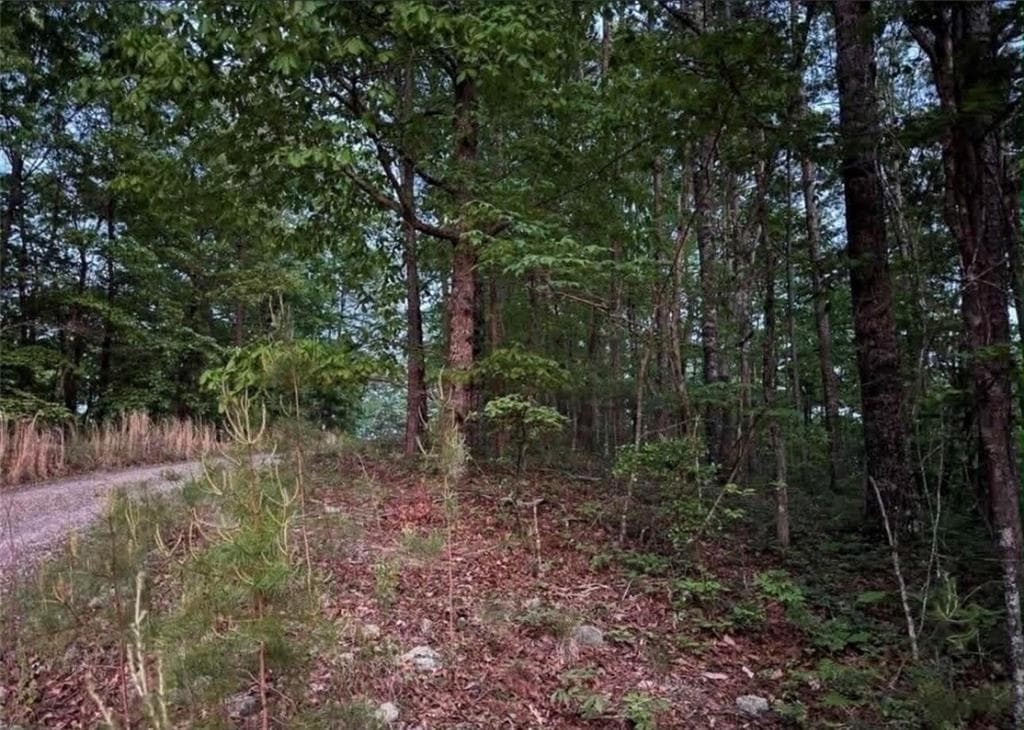 unimproved land for sale at 562 Neptune Circle, Ranger, GA 30734 — photo 6