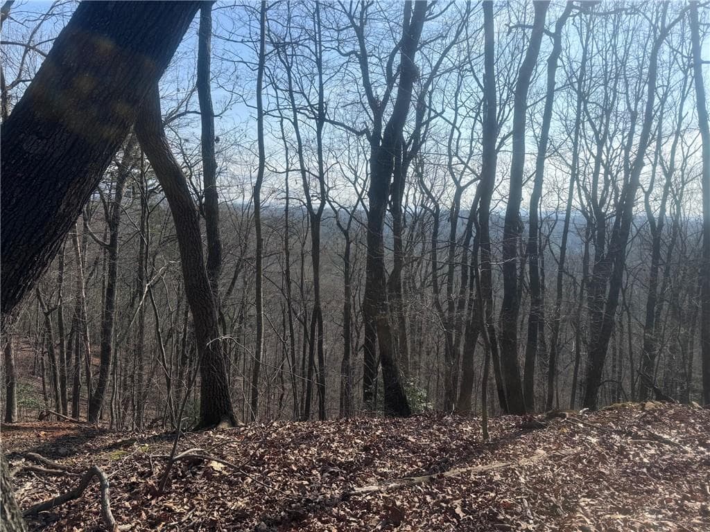 unimproved land for sale at 0 Bible Baptist Road, Ellijay, GA 30536 — photo 7
