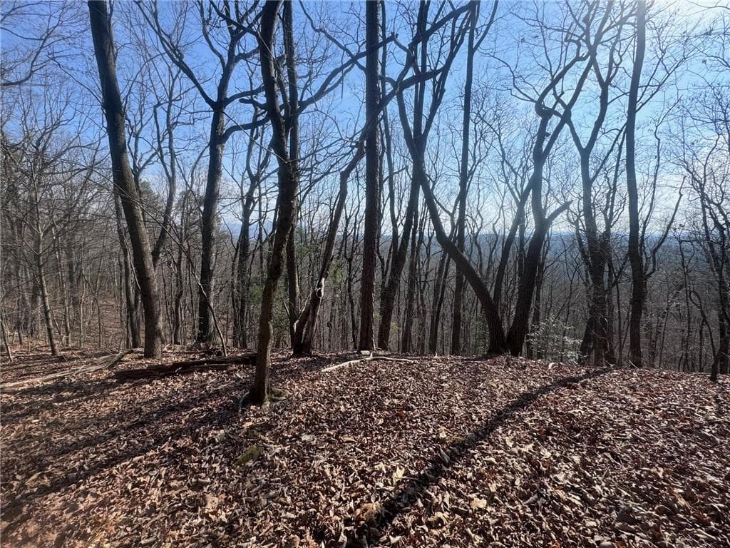unimproved land for sale at 0 Bible Baptist Road, Ellijay, GA 30536 — photo 8