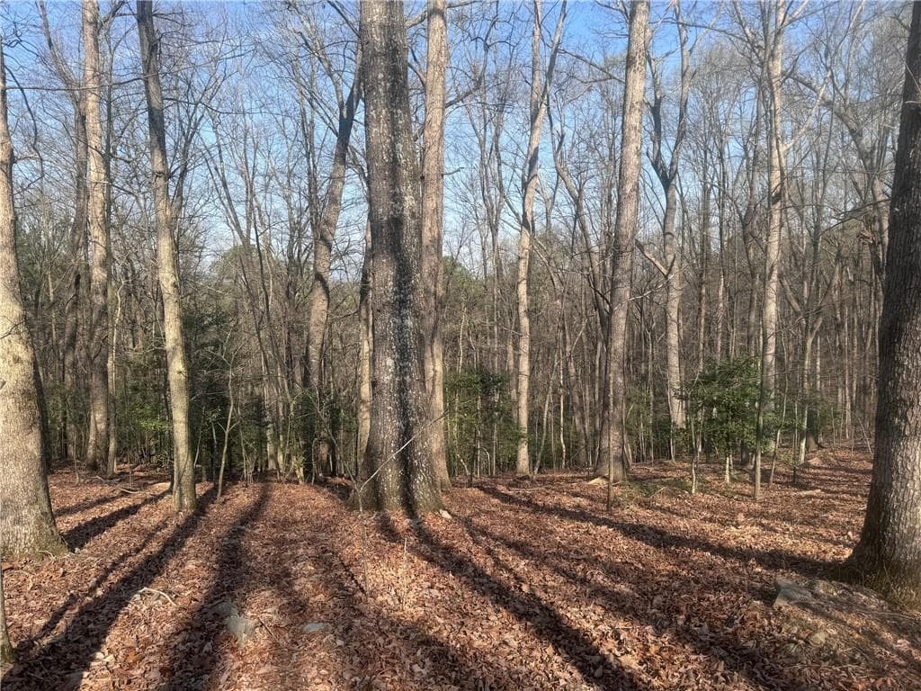 unimproved land for sale at 0 Bible Baptist Road, Ellijay, GA 30536 — photo 9
