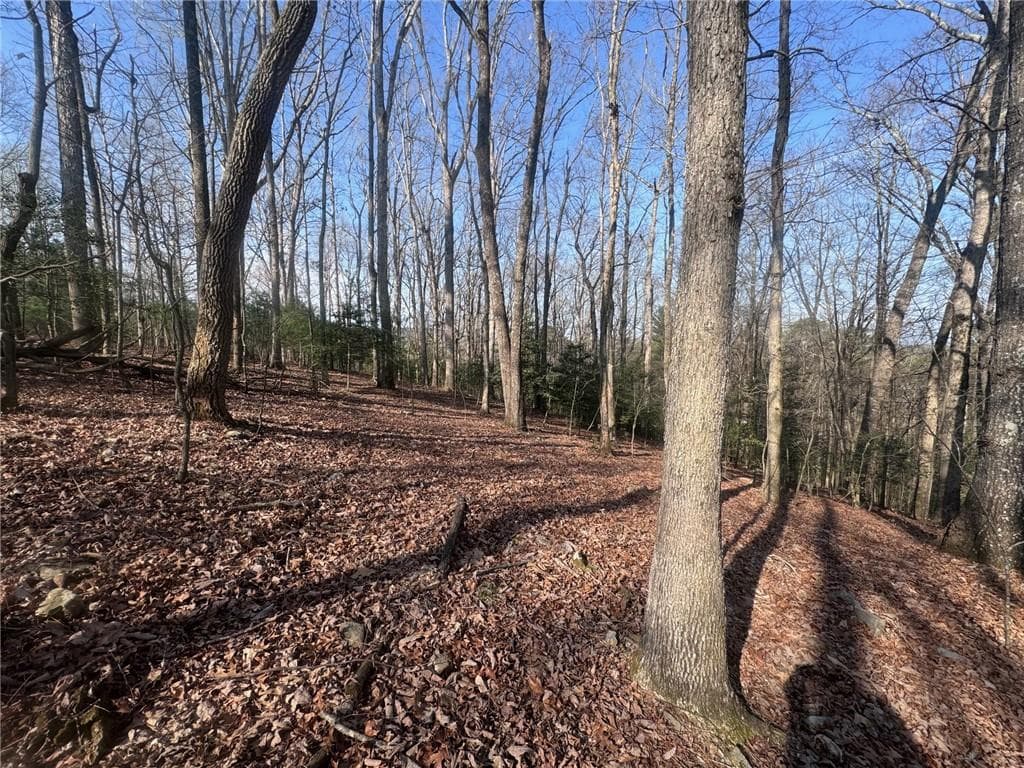 unimproved land for sale at 0 Bible Baptist Road, Ellijay, GA 30536 — photo 10