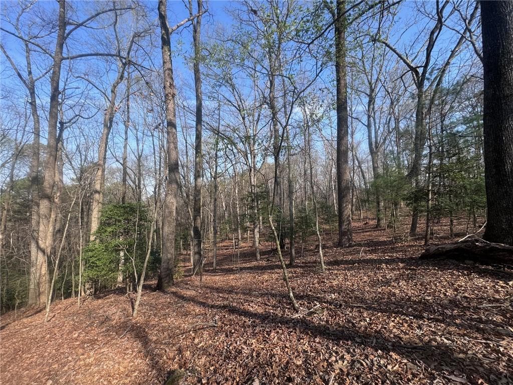 unimproved land for sale at 0 Bible Baptist Road, Ellijay, GA 30536 — photo 6