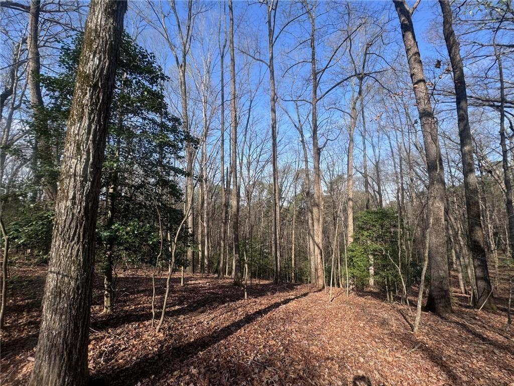 unimproved land for sale at 0 Bible Baptist Road, Ellijay, GA 30536 — photo 5