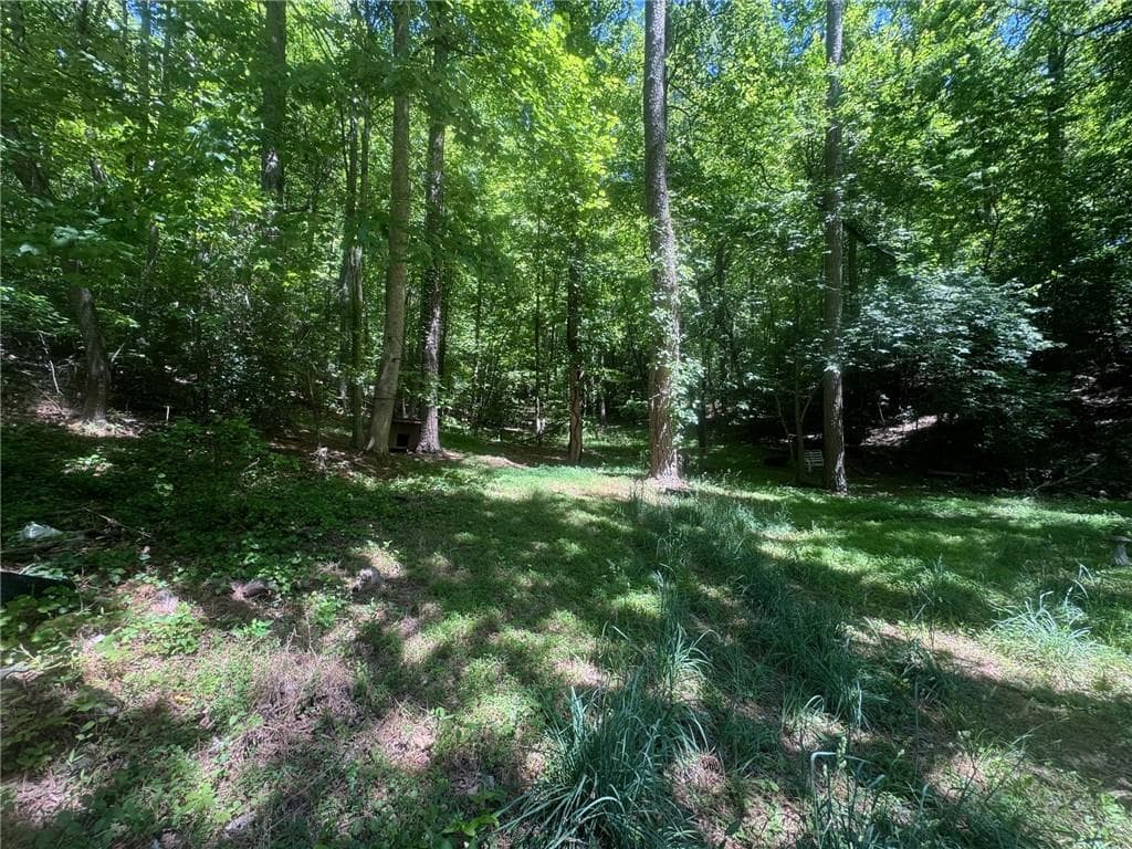 unimproved land for sale at 0 Bible Baptist Road, Ellijay, GA 30536 — photo 1 of 13