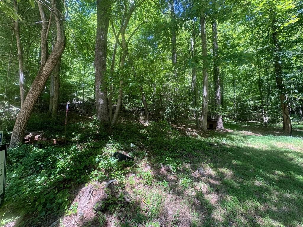 unimproved land for sale at 0 Bible Baptist Road, Ellijay, GA 30536 — photo 2